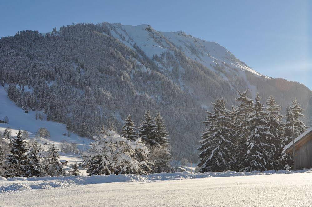 Alpenchalet Weidhaus&Spiher Gstaad Exterior foto