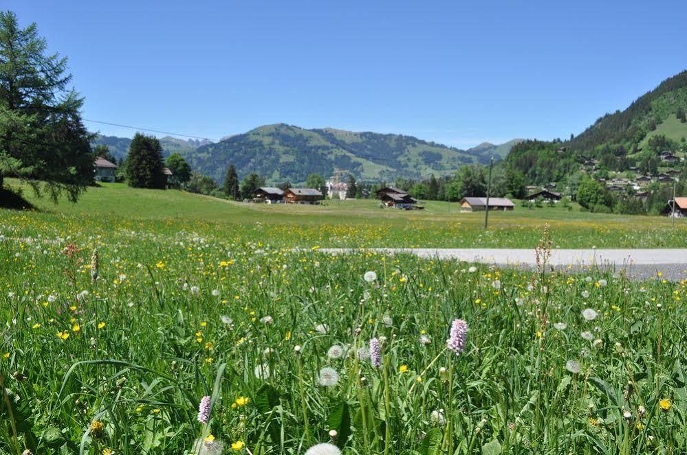 Alpenchalet Weidhaus&Spiher Gstaad Exterior foto