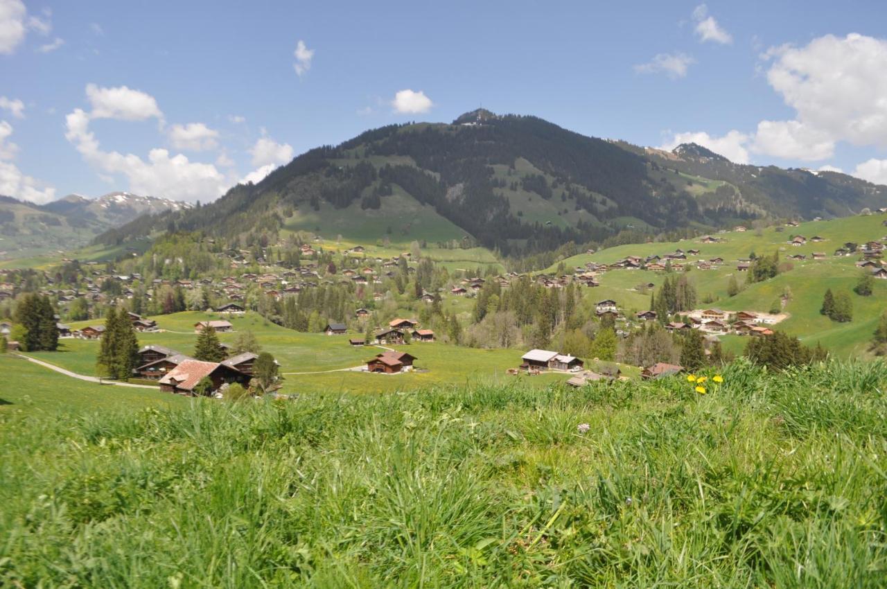 Alpenchalet Weidhaus&Spiher Gstaad Exterior foto