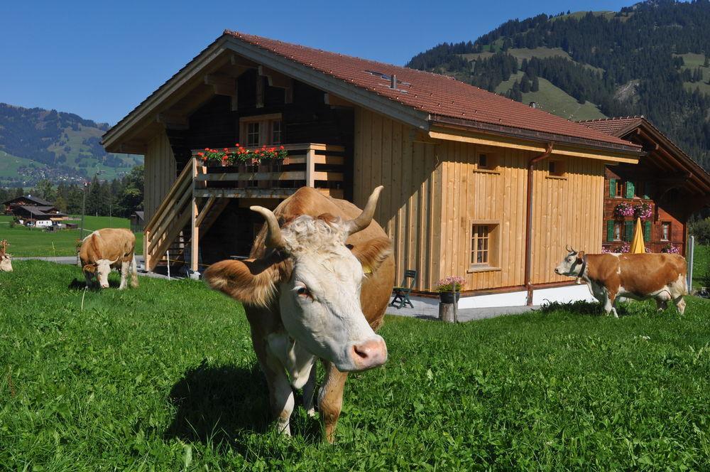 Alpenchalet Weidhaus&Spiher Gstaad Exterior foto