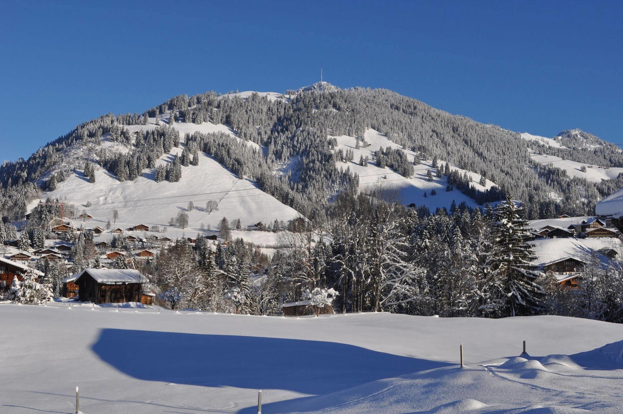 Alpenchalet Weidhaus&Spiher Gstaad Exterior foto